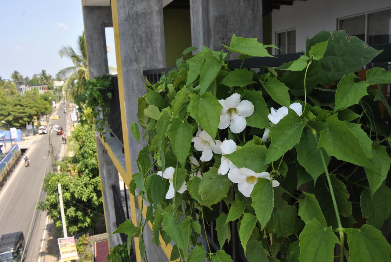 The Canoe Negombo Exterior foto
